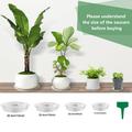 Manunclaims 10 Packs Flower Pot Trays - 6/8/10/12inch Clear Plant Saucers Flower Pot Trays with 10Pcs Plant Labels Plastic Plant Soil Collection Saucer Drip Trays for Indoor Outdoor Plants Garden