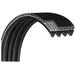 d&d Motor Drive Belt 21 262729 Works with Lifestyler Proform Treadmill