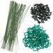 AirSMall 100Pcs Garden Plant Fixing Clips Greenhouse Vine Support Ties with 50pcs Green Plant Support Sticks for Plant Stem Upgrow Support