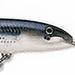 Rapala CDMAG14MU Count Down Magnum Fishing Lure 5 1/2 1 1/4 oz Mullet