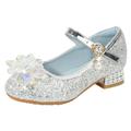 Youmylove Toddler Little Kid Girls Dress Pumps Glitter Sequins Princess Flower Low Heels Party Show Dance Shoes Rhinestone Sandals Fashion Shoes