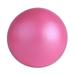 Hi.FANCY Anti-Pressure Explosion-Proof Yoga Exercise Gym Balance Workout Massage Ball Home Training Tool