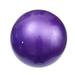 Frcolor 65cm 800g Professional Anti Burst Stability Yoga Ball Balancing Devcie Exercise Tool for Fitness Gym Workouts with Pump Air Clamp Stopper (Purple)