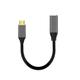 USB Type C (the source) to Female Mini DP Adapter 4K@60Hz 7 inches Cable with USB-C to Mini Displayport Compatible with MacBook Pro Macbook iMac iPad Pro and other USB-C Devices