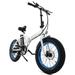 ECOTRIC 20 Fat Tire Folding Electric Bike Bicycle 500W 36V City Commuter Snow Beach Mountain Bicycle Pedal Assist for Adults