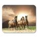 KDAGR Green Ranch White Wild Horses in Summer Gray Run Mousepad Mouse Pad Mouse Mat 9x10 inch