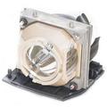 Replacement for DELL 725-10025 LAMP & HOUSING Replacement Projector TV Lamp