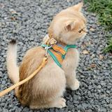 Cat Harness and Leash for Walking Escape Proof Soft Adjustable Vest Harnesses for Cats Easy Control Breathable Jacket