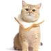 Bueautybox Cat Creative Soft Bread Slice Collar Toast Bread-Shaped Cat Headdress Cosplay Makeup Cap