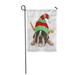 KDAGR Elf Boston Terrier Christmas Hat on Ears Costume Dog Garden Flag Decorative Flag House Banner 28x40 inch