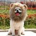 Dog Lion Mane - Realistic & Funny Lion Mane for Dogs - Complementary Lion Mane for Dog Costumes - Lion Wig for Medium to Large Sized Dogs Lion Mane Wig for Dogs