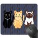 Visland Cute Mouse Pad Colorful Cat Natural Rubber Non-Slip Rectangle Mouse Pads Home Office Computer Gaming Mousepad Mat 9.45 x 7.87 inches(Blue/Pink/Yellow)