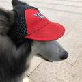 Summark Pet Dog Baseball Cap Sport Cap Hat - Outdoor Hat Sun Protection Summer Cap for Small Medium Large Dog