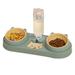 Double Dog Cat Bowls with Water Dispenser Tilted Cat Food Dishes for Indoor Pet