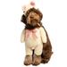 Walking Teddy Bear Pet Costume