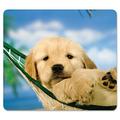 Recycled Mouse Pad 9 x 8 Puppy in Hammock Design | Bundle of 10 Each