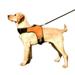 BT Bear Pet Harness Dog Harness Reflective Adjustable Vest Harness LED Chest Strap for Medium Large Dog (L Orange)