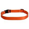 Yellow Dog Design Orange Simple Dog Collar 1 Wide and Fits Necks 14 to 20 Medium