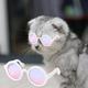 Travelwant Dog Sunglasses Round Metal Cat Classic Retro Sunglasses Pet Hippie Cute and Funny Pet Sunglasses Dog Cat Cosplay Party Costume Photo Props