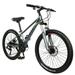 DZT1968 24 inch Adult Bikes-Mountain Bike-21 Speed Gray Bicycles for Boy and Girl Magnesium Alloy Frame