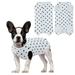 Kuoser Surgical Recovery Suit for Dogs Catsï¼ŒProfessional Dog Onesie