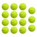 FANCY 15Pcs Tennis Balls Durable Tennis Balls Pet Toy Tennis Exercise Balls Tennis Training Balls Outdoor Practice Balls for Children Adults Beginners Professionals Pet