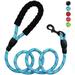 5 FT Heavy Duty Dog Leash with Comfortable Padded Handle Reflective Dog leashes for Medium Large Dogs Dog Leash-Blue