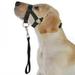 Pet Explosion-proof Pet Training Mouth Rope Dog Leash Traction Rope Hyena Rope Collars Chest Strap Harnesses