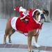 Dog Santa Claus Riding Christmas Costume Funny Pet Cowboy Rider Horse Designed Dogs Cats Clothes Apparel Party Dress up Clothing Christmas