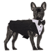 QBLEEV Dog Formal Tuxedo Suit for Medium Large Dogsï¼ŒFor Costume Wedding Party Outfit with Detachable Collarï¼ŒElegant Dog Apparel Bowtie Shirt and Bandana Set for Dress-up Cosplay Holiday Wear M