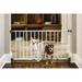 Carlson Pet Products MINI Expandable Extra Wide Pet Gate with Small Pet Door (916006) White 18-31 inches(Pack of 2)