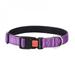 Popvcly Pet Dog Reflective Nylon Collar Night Safety Luminous Light Up Adjustable Dog Leash Pet Collar for Cats And Small Dogs Pet Supplies Purple M