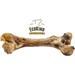 EcoKind Dog Bone Giant Femur Bone for Dogs | 1 Bone | Long Lasting Mammoth Dog Bones for Aggressive Chewers Rawhide Free Healthy Dog Treat Large Bones Digestible Dog Chews