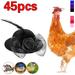 2022 Creative Chicken Helmet 45 Pcs Creative Chicken hat Funny Pet Helmet Cute Protection Hen Hat Bird Headgear Parrot Small Chick Ducks Poultry