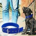 Pet Dog Collar Adjustable Nylon Dog Collar Heavy Duty Metal Buckle Dog Collar Traction Collar Dog Cats collar Glasses Photo Props