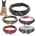 SPRING PARK Faux Leather Spiked Anti-bite Collar Studded Punk Dog Collar for Small/X-Small Breeds and Puppies