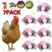 1/2/7/10/20/45 Pieces Chicken Accessories Mesh Bowknot with Adjustable Elastic Chin Strap Funny Chicken Feather Hat for Rooster Poultry Hen Fancy Show Duck Parrot Small Pet