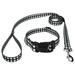 Country Brook PetzÂ® Deluxe Black & White Buffalo Plaid Dog Collar and Leash Mini