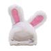 JUNTEX Pet Kitten Puppy Headband Funny Pet Dog Cat Cap Cartoon Plush Bunny Ears Hat