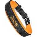 Mighty Paw Sport Collar 2.0 | Soft Neoprene Padded Dog Collar for Maximum Comfort. (Orange) (Large)