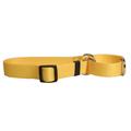 Yellow Dog Design Goldenrod Simple Solid Martingale Dog Collar 1 Wide and Fits Neck 18 to 26 Large