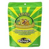 Pangea Papaya Fruit Mix Complete Crested Gecko Food 2 Oz.