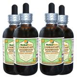 Jamaican Dogwood (Piscidia Piscipula) Glycerite Dried Bark Alcohol-FREE Liquid Extract (Herbal Terra USA) 4x4 oz