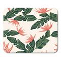 Beach Cheerful of Tropical Dark Green Leaves Palm Trees and Flowers Bird Paradise Strelitzia on Light Mousepad Mouse Pad Mouse Mat 9x10 inch