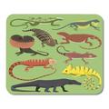 KDAGR Reptyle Lizard Reptile Wild Cartoon Nature Dragon Gecko Chameleon Mousepad Mouse Pad Mouse Mat 9x10 inch