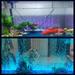 Kritne LED LED Aquarium Light Fish Tank Light For Aquarium Fish Tank Fish Aquarium Light