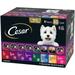 Cesar Canine Cuisine Wet Dog Food 8 Flavor Variety Pack Classic Loaf in Sauce (3.5 oz. 40 ct.)