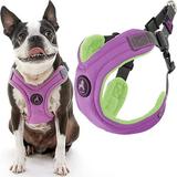 Gooby Escape Free Memory Foam Harness - Purple Large - Escape Free Step-In Harness with Memory Foam for Small Dogs and Medium Dogs Indoor and Outdoor use