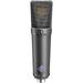 Neumann U 89i Large-diaphragm Condenser Microphone Matte Black