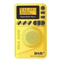 Toma P9 Mini Pocket Radio Portable DAB+ Digital Radio Rechargeable Battery FM Radio LCD Display EU